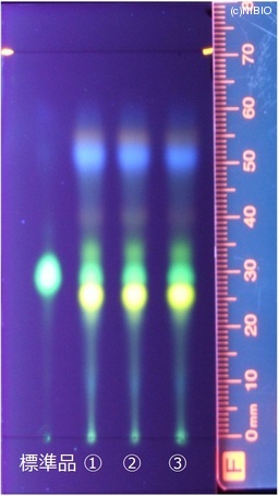 http://mpdb.nibiohn.go.jp/CONTENTS_ROOT/JP_IDENTIFICATION_PHOTO_DATA/JP_IDENTIFICATION_PHOTO_FILE/thumbnail/155.jpg