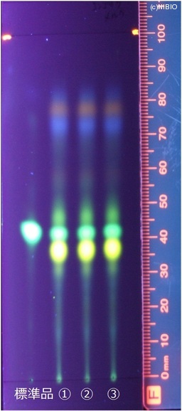 http://mpdb.nibiohn.go.jp/CONTENTS_ROOT/JP_IDENTIFICATION_PHOTO_DATA/JP_IDENTIFICATION_PHOTO_FILE/thumbnail/156.jpg