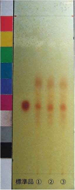 http://mpdb.nibiohn.go.jp/CONTENTS_ROOT/JP_IDENTIFICATION_PHOTO_DATA/JP_IDENTIFICATION_PHOTO_FILE/thumbnail/162.jpg