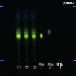 http://mpdb.nibiohn.go.jp/CONTENTS_ROOT/JP_IDENTIFICATION_PHOTO_DATA/JP_IDENTIFICATION_PHOTO_FILE/thumbnail/377.jpg