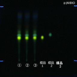 http://mpdb.nibiohn.go.jp/CONTENTS_ROOT/JP_IDENTIFICATION_PHOTO_DATA/JP_IDENTIFICATION_PHOTO_FILE/thumbnail/375.jpg