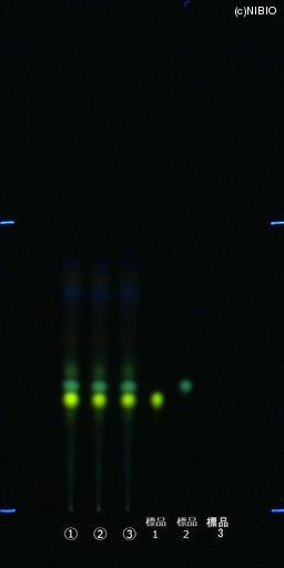 http://mpdb.nibiohn.go.jp/CONTENTS_ROOT/JP_IDENTIFICATION_PHOTO_DATA/JP_IDENTIFICATION_PHOTO_FILE/thumbnail/376.jpg