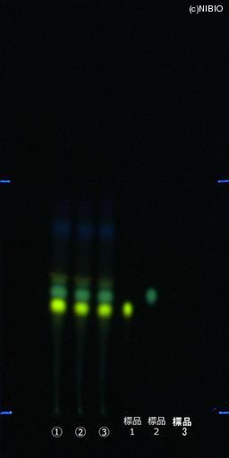 http://mpdb.nibiohn.go.jp/CONTENTS_ROOT/JP_IDENTIFICATION_PHOTO_DATA/JP_IDENTIFICATION_PHOTO_FILE/thumbnail/379.jpg