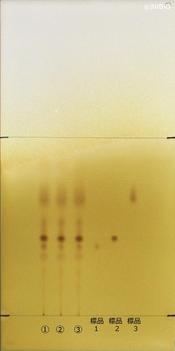 http://mpdb.nibiohn.go.jp/CONTENTS_ROOT/JP_IDENTIFICATION_PHOTO_DATA/JP_IDENTIFICATION_PHOTO_FILE/thumbnail/381.jpg