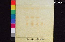 http://mpdb.nibiohn.go.jp/CONTENTS_ROOT/JP_IDENTIFICATION_PHOTO_DATA/JP_IDENTIFICATION_PHOTO_FILE/thumbnail/752.jpg