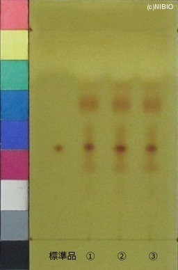 http://mpdb.nibiohn.go.jp/CONTENTS_ROOT/JP_IDENTIFICATION_PHOTO_DATA/JP_IDENTIFICATION_PHOTO_FILE/thumbnail/756.JPG