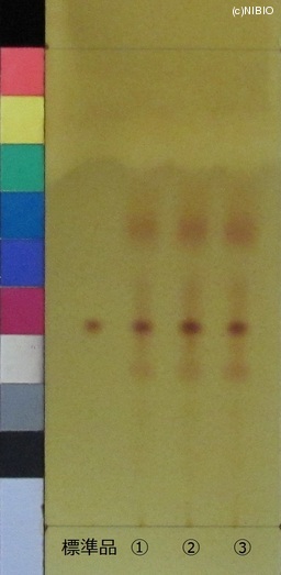 http://mpdb.nibiohn.go.jp/CONTENTS_ROOT/JP_IDENTIFICATION_PHOTO_DATA/JP_IDENTIFICATION_PHOTO_FILE/thumbnail/757.JPG
