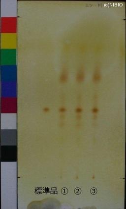 http://mpdb.nibiohn.go.jp/CONTENTS_ROOT/JP_IDENTIFICATION_PHOTO_DATA/JP_IDENTIFICATION_PHOTO_FILE/thumbnail/766.jpg