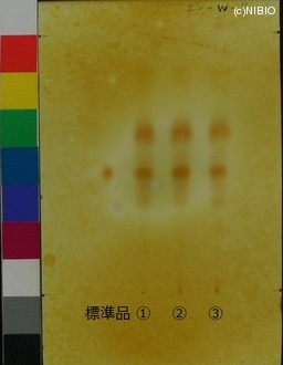 http://mpdb.nibiohn.go.jp/CONTENTS_ROOT/JP_IDENTIFICATION_PHOTO_DATA/JP_IDENTIFICATION_PHOTO_FILE/thumbnail/767.jpg