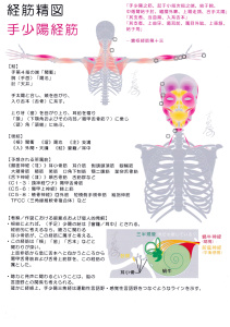 https://gogyoantoyoigaku.files.wordpress.com/2018/10/e6898be5b091e999bde7b58ce7ad8b.jpg?w=211&h=300