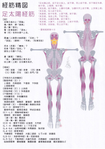 https://gogyoantoyoigaku.files.wordpress.com/2018/10/e8b6b3e5a4aae999bde7b58ce7ad8b011.jpg?w=212&h=300