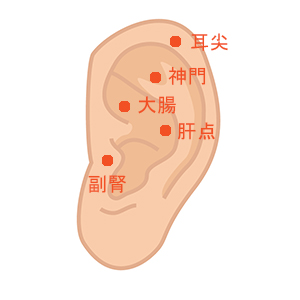 関連画像