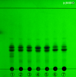 http://mpdb.nibiohn.go.jp/CONTENTS_ROOT/WHOLE_PHOTO_DATA/WHOLE_PHOTO_FILE/thumbnail/8.jpg