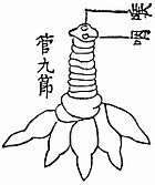 https://upload.wikimedia.org/wikipedia/commons/thumb/1/1e/Wakan_Sansai_Zue_-_Hai.jpg/140px-Wakan_Sansai_Zue_-_Hai.jpg