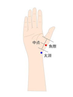 魚際穴の位置