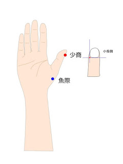 少商の取穴
