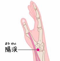 https://www.idononippon.com/blockcalendar/assets_c/2011/01/0204%20LI-05-thumb-207x210-1570.jpg