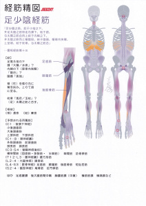 https://gogyoantoyoigaku.files.wordpress.com/2018/10/e8b6b3e5b091e999b0e7b58ce7ad8b013.jpg?w=212&h=300