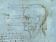 https://upload.wikimedia.org/wikipedia/commons/thumb/b/bd/Proportions_of_the_Head.jpg/180px-Proportions_of_the_Head.jpg