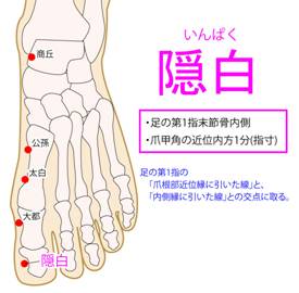 ソース画像を表示