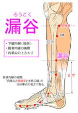 ソース画像を表示