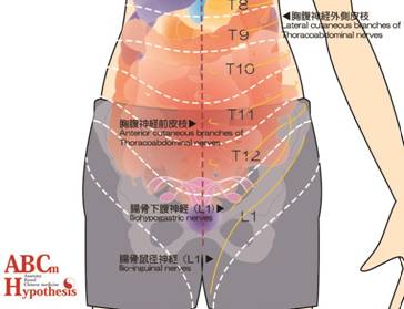 https://gogyoantoyoigaku.files.wordpress.com/2020/07/e8a7a3e58996e38080e5898de5a496e581b4e885b9e5a381e381aee79aaee8869ae58886e7af80e381a8e7a59ee7b58c.jpg?w=825