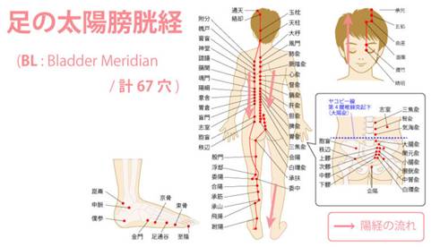 ソース画像を表示