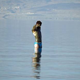 https://upload.wikimedia.org/wikipedia/commons/thumb/c/ce/Dead_Sea_mud_man_by_David_Shankbone.jpg/330px-Dead_Sea_mud_man_by_David_Shankbone.jpg