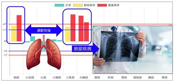 肺大腸三焦經與肺部疾病