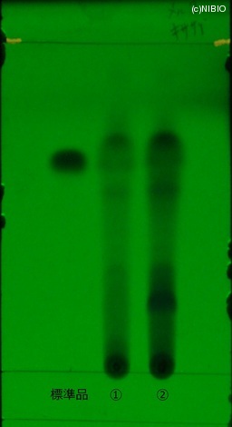 http://mpdb.nibiohn.go.jp/CONTENTS_ROOT/JP_IDENTIFICATION_PHOTO_DATA/JP_IDENTIFICATION_PHOTO_FILE/thumbnail/193.jpg