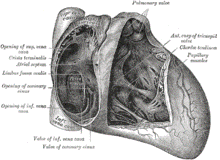 https://upload.wikimedia.org/wikipedia/commons/thumb/6/6c/Gray493.png/220px-Gray493.png