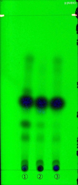 http://mpdb.nibiohn.go.jp/CONTENTS_ROOT/JP_IDENTIFICATION_PHOTO_DATA/JP_IDENTIFICATION_PHOTO_FILE/thumbnail/92.jpg