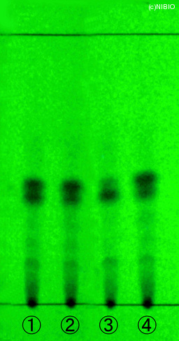 http://mpdb.nibiohn.go.jp/CONTENTS_ROOT/JP_IDENTIFICATION_PHOTO_DATA/JP_IDENTIFICATION_PHOTO_FILE/thumbnail/1357.jpg