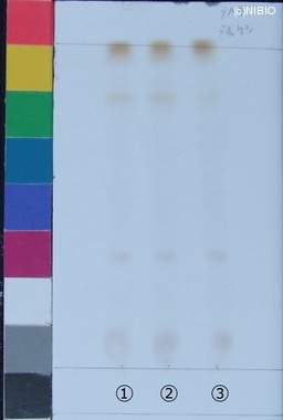 http://mpdb.nibiohn.go.jp/CONTENTS_ROOT/JP_IDENTIFICATION_PHOTO_DATA/JP_IDENTIFICATION_PHOTO_FILE/thumbnail/217.jpg