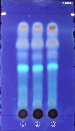 http://mpdb.nibiohn.go.jp/CONTENTS_ROOT/JP_IDENTIFICATION_PHOTO_DATA/JP_IDENTIFICATION_PHOTO_FILE/thumbnail/209.jpg