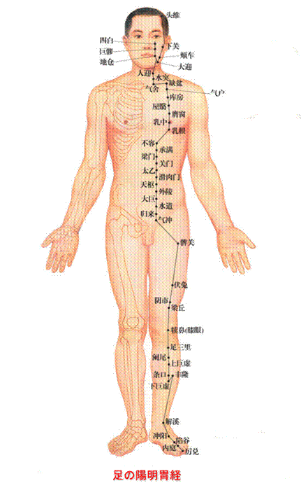 https://www.ou-hari.com/png/ike.gif