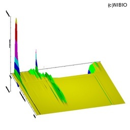 http://mpdb.nibiohn.go.jp/CONTENTS_ROOT/LCGC_DATA/THREE_D_IMAGE_FILE/thumbnail/1831.jpg