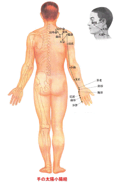 https://www.ou-hari.com/png/syotouke.gif
