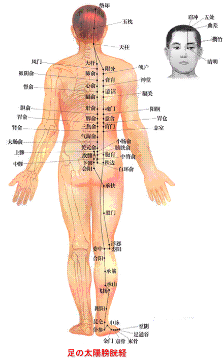 https://www.ou-hari.com/png/bokoke.gif