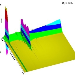 http://mpdb.nibiohn.go.jp/CONTENTS_ROOT/LCGC_DATA/THREE_D_IMAGE_FILE/thumbnail/2347.jpg
