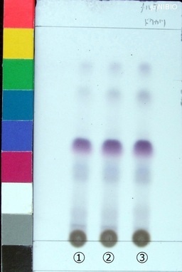 http://mpdb.nibiohn.go.jp/CONTENTS_ROOT/JP_IDENTIFICATION_PHOTO_DATA/JP_IDENTIFICATION_PHOTO_FILE/thumbnail/229.jpg