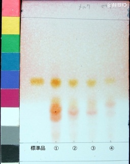 http://mpdb.nibiohn.go.jp/CONTENTS_ROOT/JP_IDENTIFICATION_PHOTO_DATA/JP_IDENTIFICATION_PHOTO_FILE/thumbnail/189.jpg