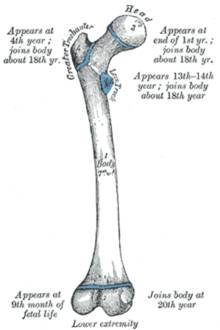 https://upload.wikimedia.org/wikipedia/commons/thumb/7/73/Gray252.png/220px-Gray252.png