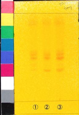 http://mpdb.nibiohn.go.jp/CONTENTS_ROOT/PLANT_PHOTO_DATA/PHOTO_FILE/thumbnail/926.jpg