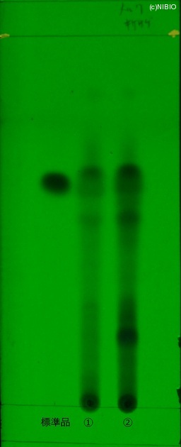 http://mpdb.nibiohn.go.jp/CONTENTS_ROOT/JP_IDENTIFICATION_PHOTO_DATA/JP_IDENTIFICATION_PHOTO_FILE/thumbnail/194.jpg