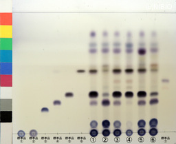 http://mpdb.nibiohn.go.jp/CONTENTS_ROOT/JP_IDENTIFICATION_PHOTO_DATA/JP_IDENTIFICATION_PHOTO_FILE/thumbnail/1341.jpg