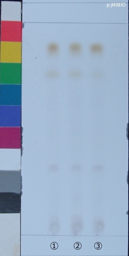 http://mpdb.nibiohn.go.jp/CONTENTS_ROOT/JP_IDENTIFICATION_PHOTO_DATA/JP_IDENTIFICATION_PHOTO_FILE/thumbnail/218.jpg