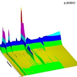 http://mpdb.nibiohn.go.jp/CONTENTS_ROOT/LCGC_DATA/THREE_D_IMAGE_FILE/thumbnail/2304.jpg
