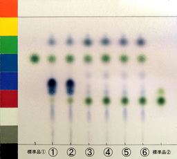 http://mpdb.nibiohn.go.jp/CONTENTS_ROOT/JP_IDENTIFICATION_PHOTO_DATA/JP_IDENTIFICATION_PHOTO_FILE/thumbnail/1336.jpg