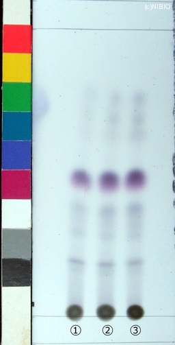 http://mpdb.nibiohn.go.jp/CONTENTS_ROOT/JP_IDENTIFICATION_PHOTO_DATA/JP_IDENTIFICATION_PHOTO_FILE/thumbnail/230.jpg